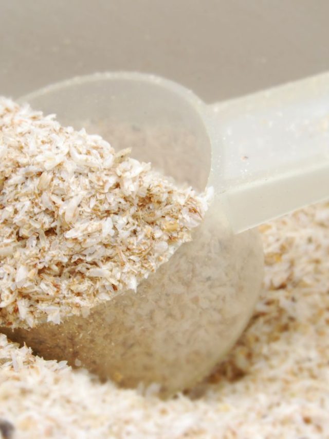 GettyImages-94330057-57b1ce635f9b58b5c20609ca